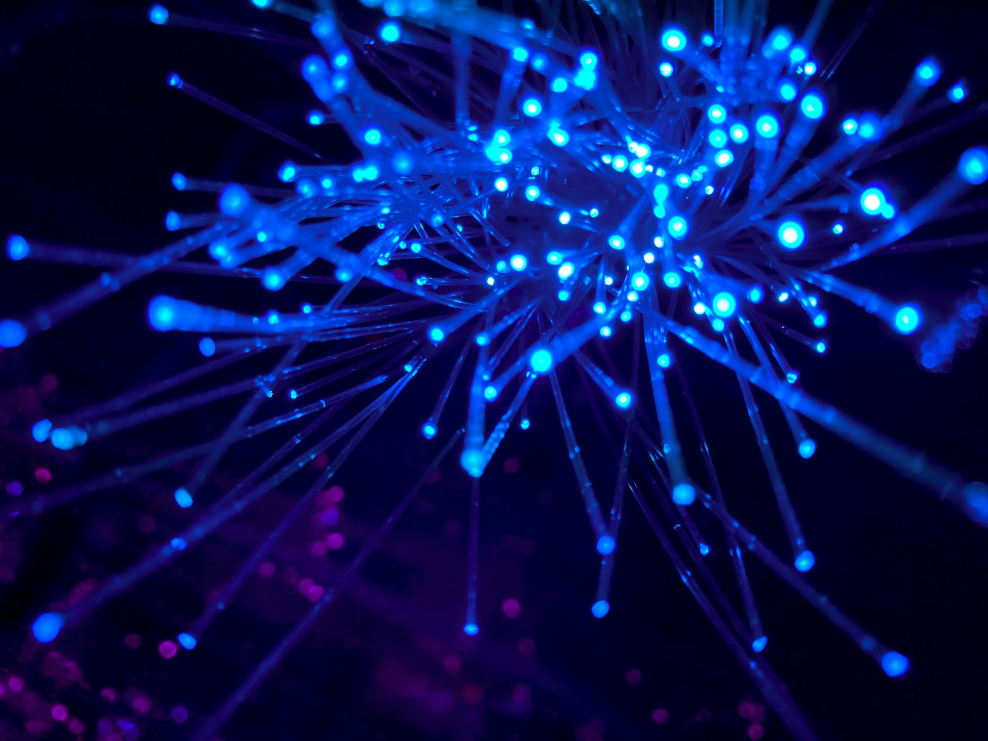 Internet dedicado de fibra óptica